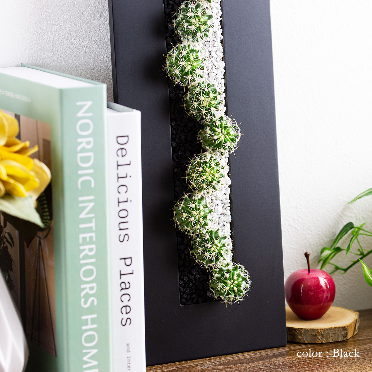 サボテンギフト 長方形フレーム