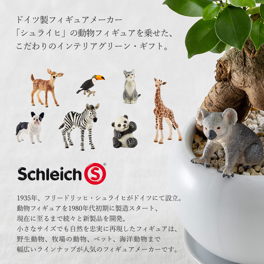 観葉植物 ガジュマル 動物フィギュア付き 育て方説明書付