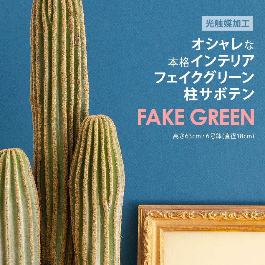 サボテン♡バスケット 多肉植物・観葉植物・サボテンを仕立てる鉢の専門店 Konect