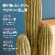 柱サボテンバスケット フェイクグリーン