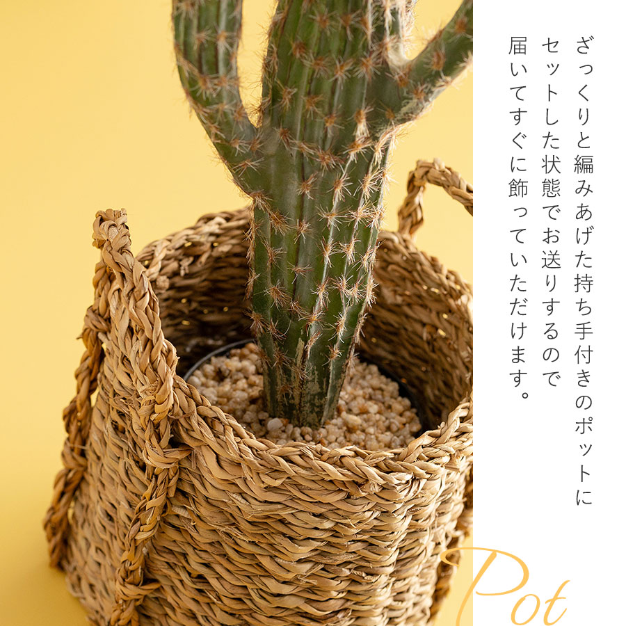 フェイクグリーン 柱サボテン ポット付