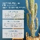 フェイクグリーン 柱サボテン ポット付