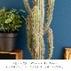 フェイクグリーン 柱サボテン ポット付