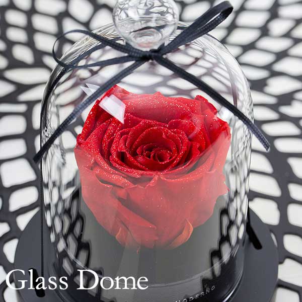 幸せのダイヤモンドローズ リトルベル