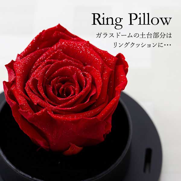 幸せのダイヤモンドローズ リトルベル