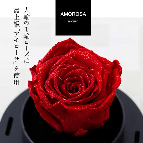 幸せのダイヤモンドローズ リトルベル