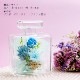 Palem 香水瓶で飾る可愛いお花ギフト