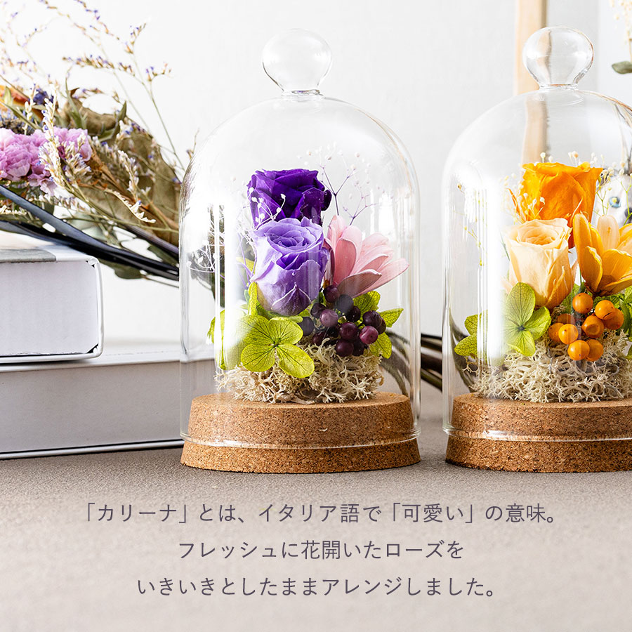 永遠の美を眺めるプリザ カリーナ