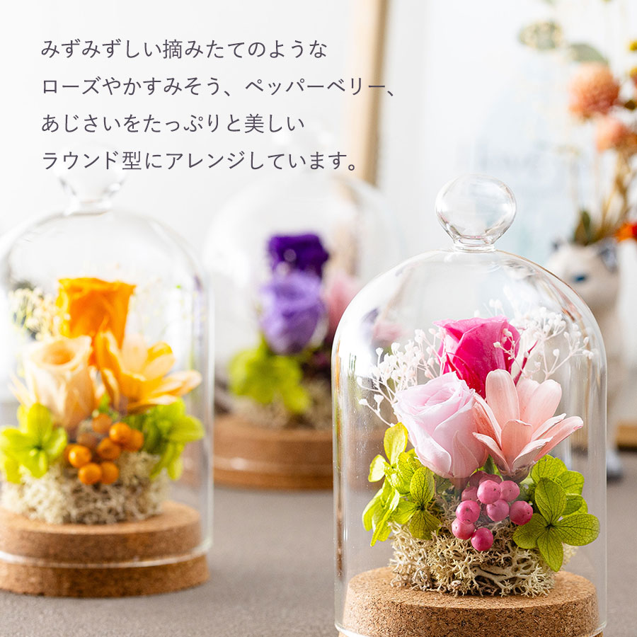 永遠の美を眺めるプリザ カリーナ