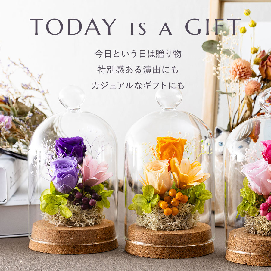 永遠の美を眺めるプリザ カリーナ