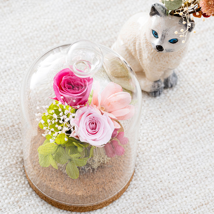 永遠の美を眺めるプリザ カリーナ