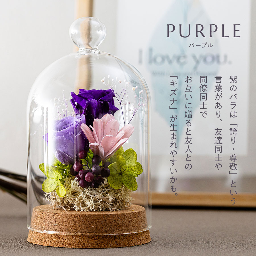 永遠の美を眺めるプリザ カリーナ