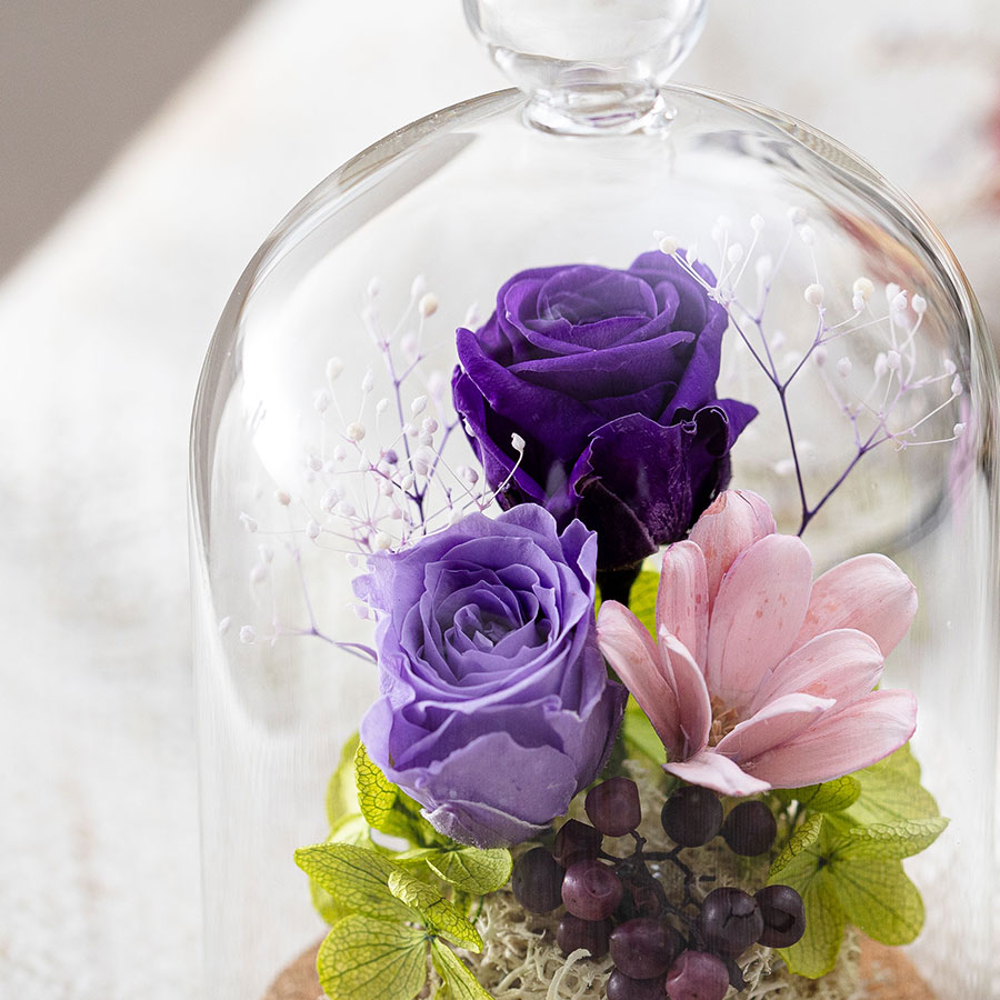 永遠の美を眺めるプリザ カリーナ