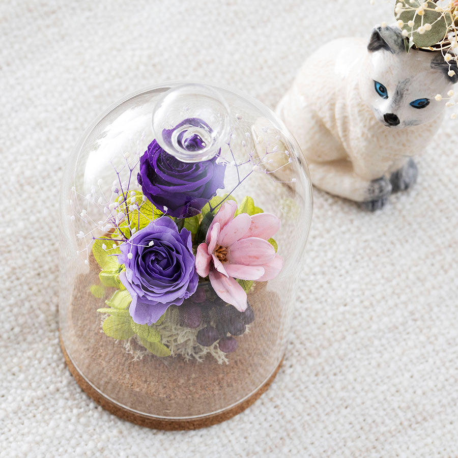 永遠の美を眺めるプリザ カリーナ