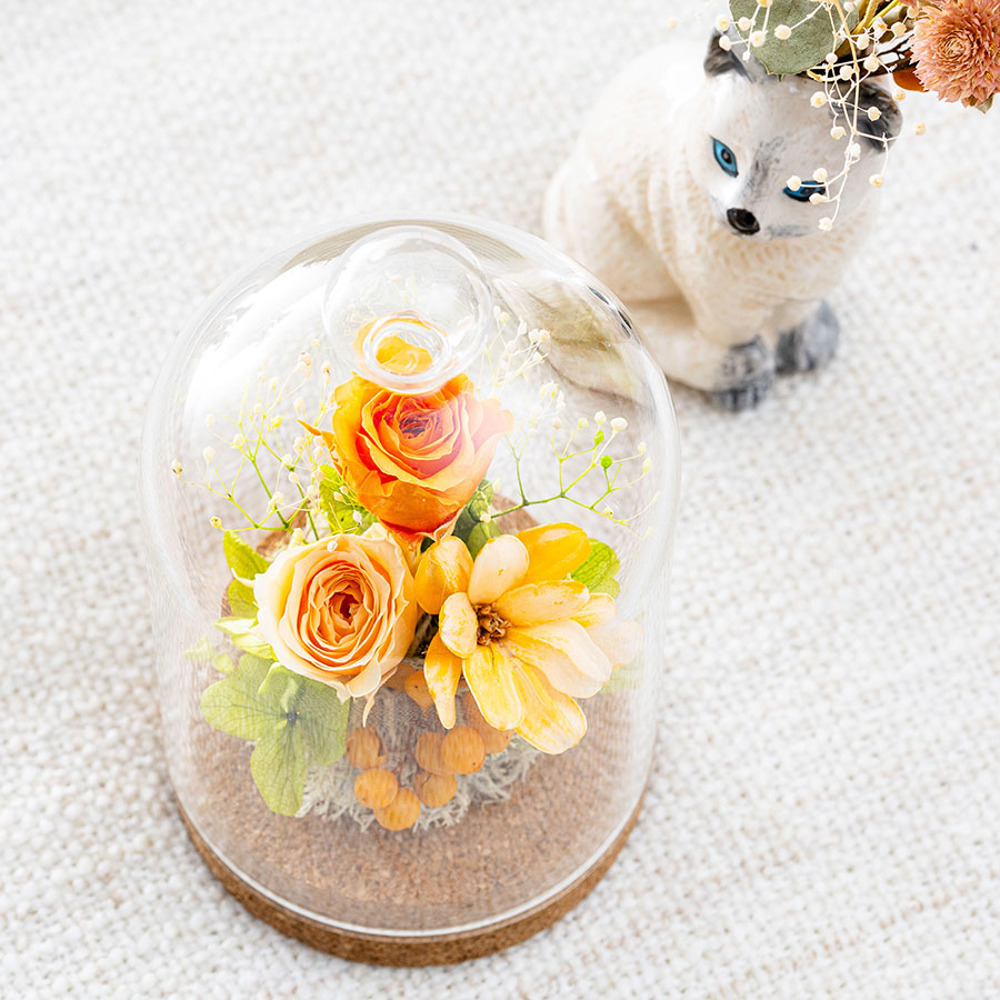 永遠の美を眺めるプリザ カリーナ