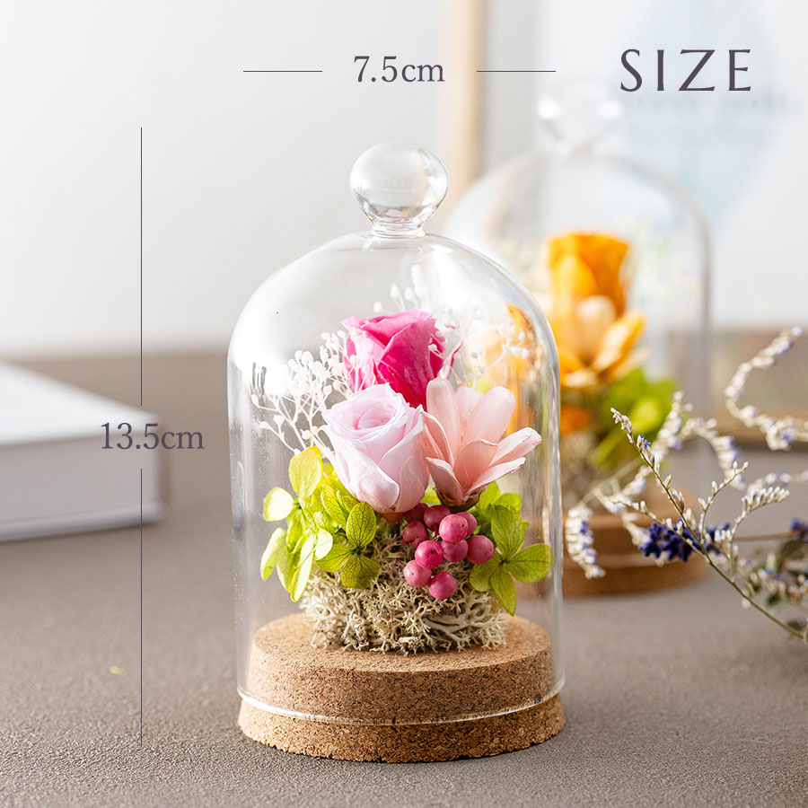 永遠の美を眺めるプリザ カリーナ