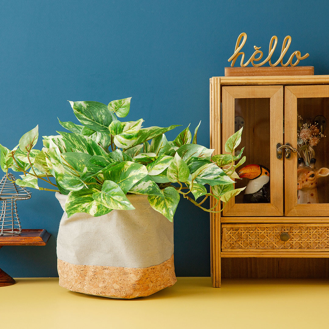 フェイクグリーン ポトスブッシュ