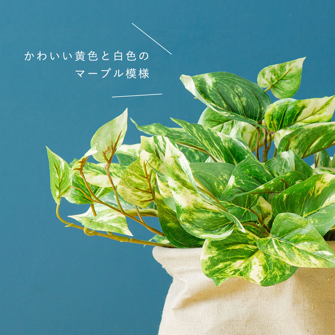 フェイクグリーン ポトスブッシュ