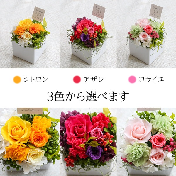 色鮮やかな花の贈り物 クルゥール