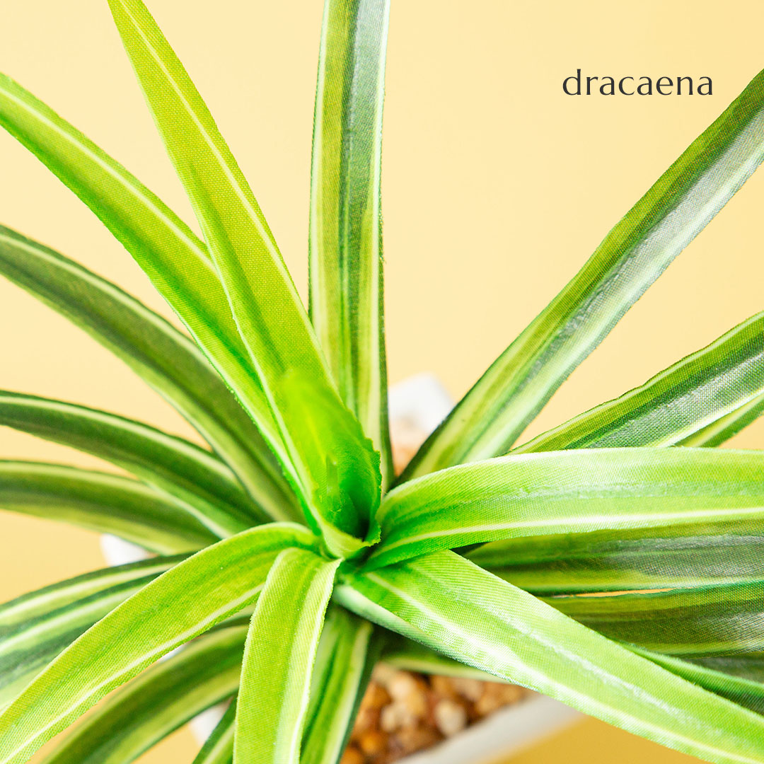 フェイク3点セット