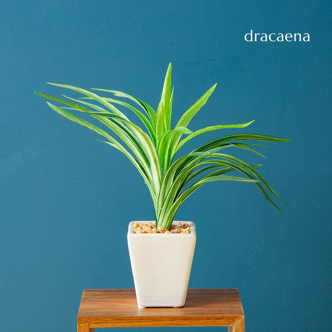 フェイク3点セット