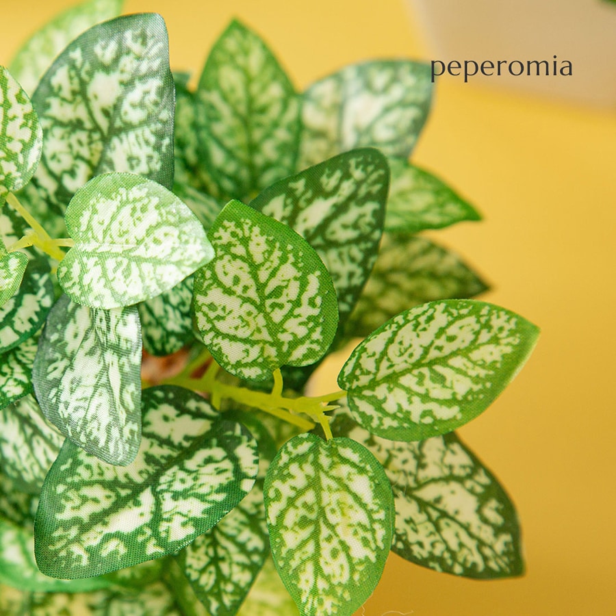 フェイク3点セット