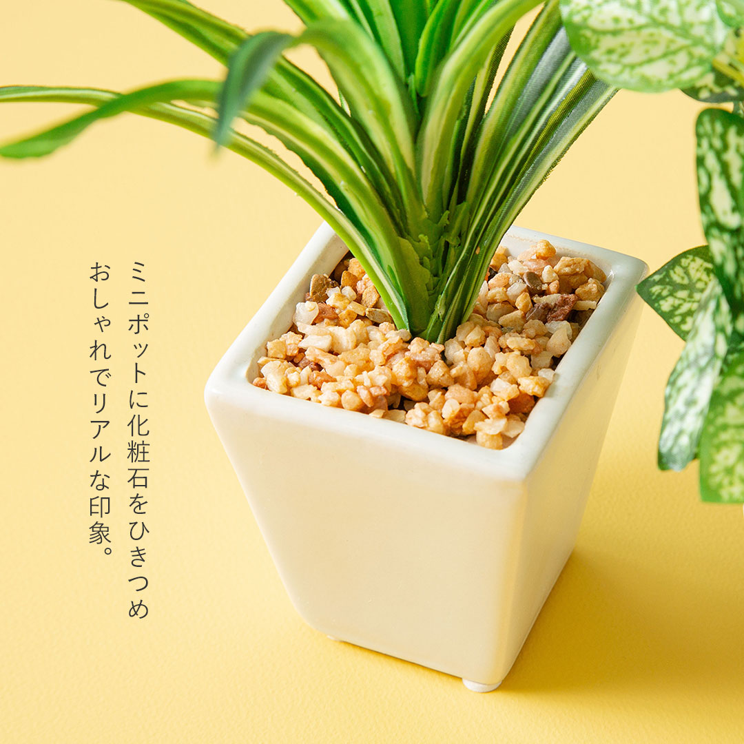 フェイク3点セット