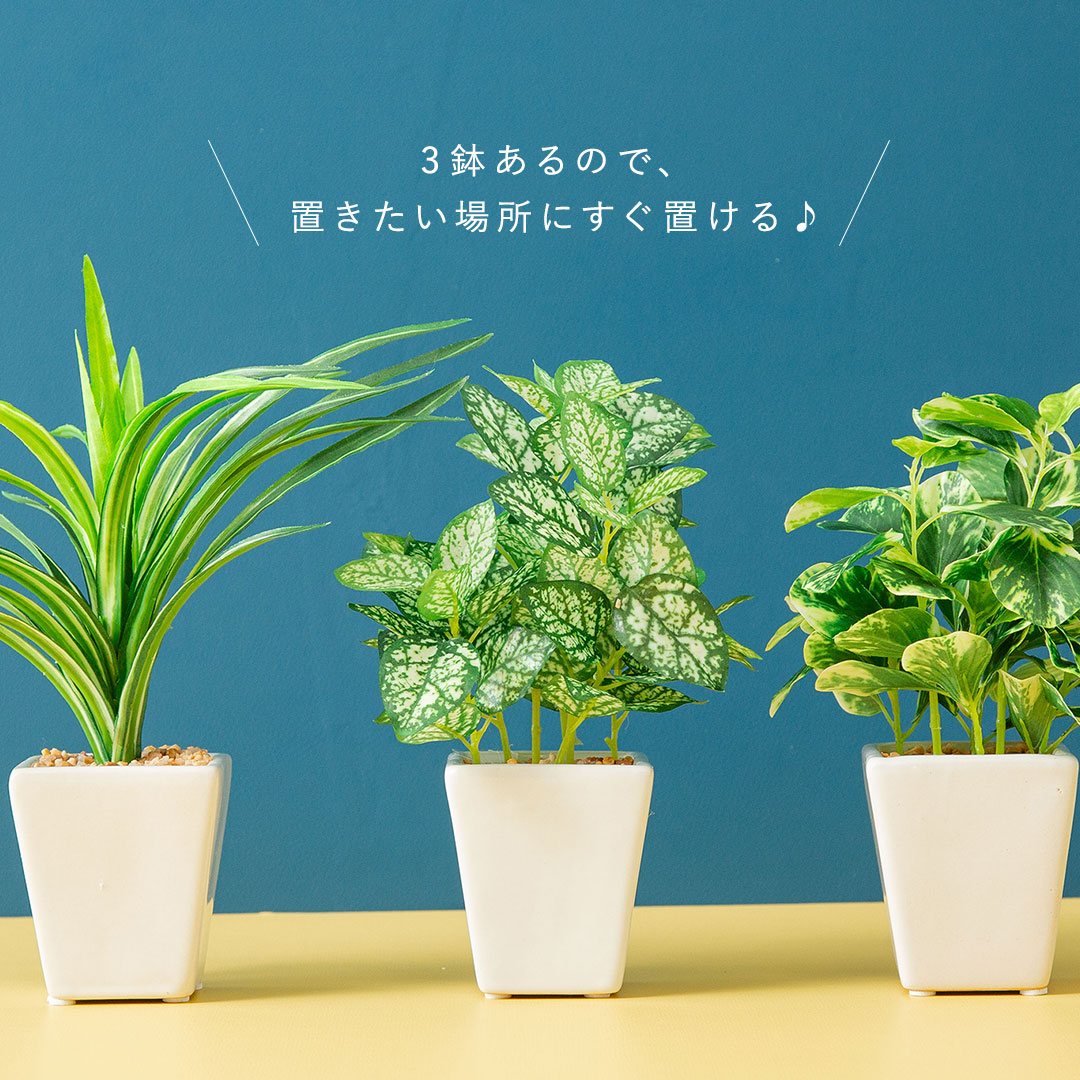 フェイク3点セット