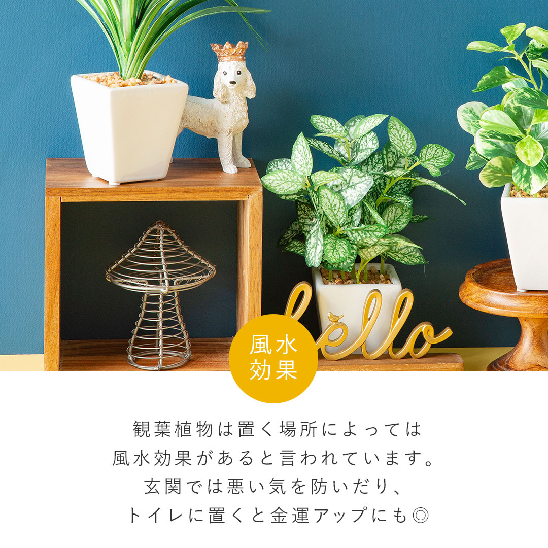 フェイク3点セット