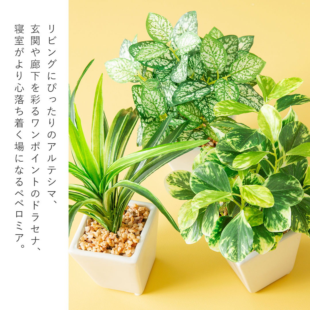 フェイク3点セット