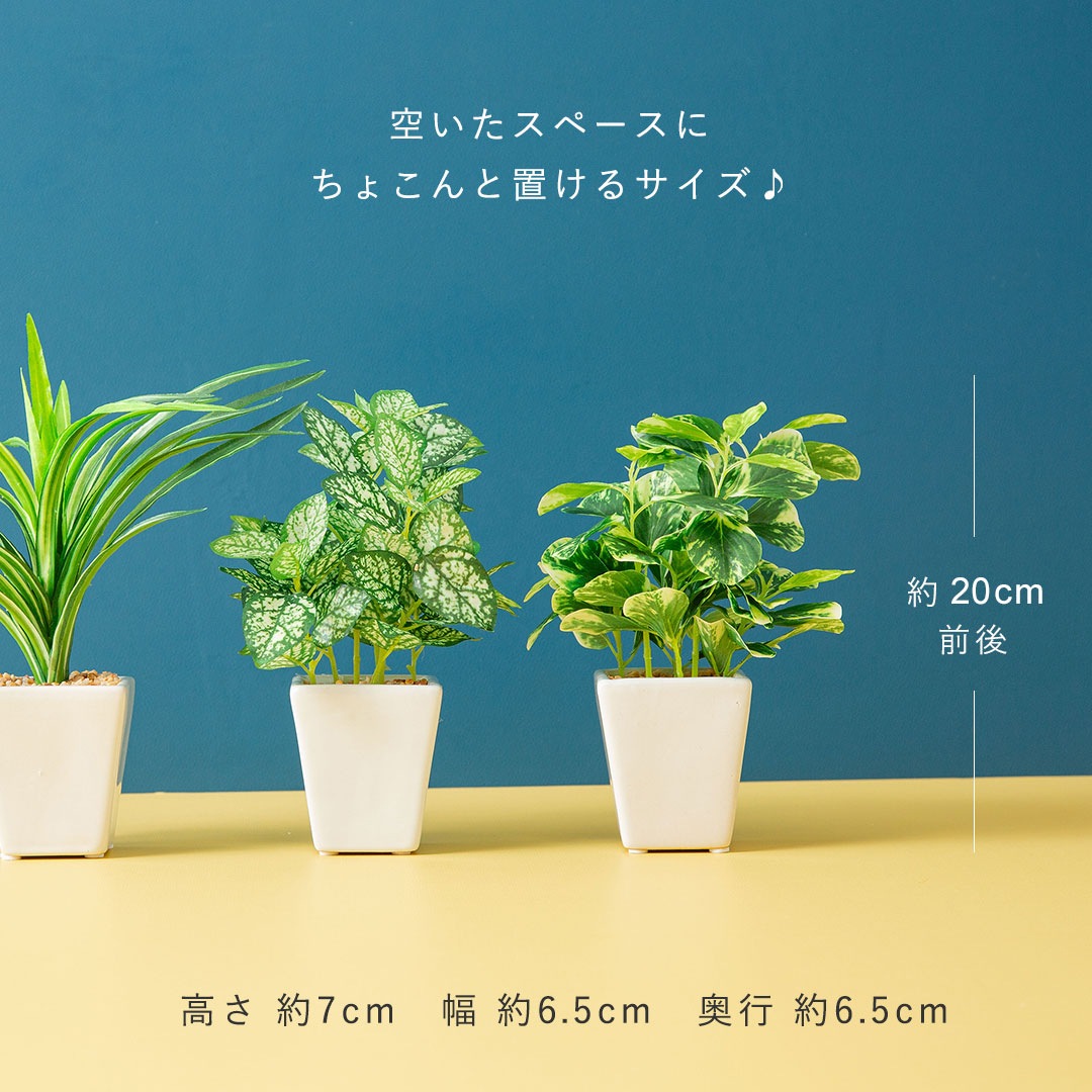 フェイク3点セット