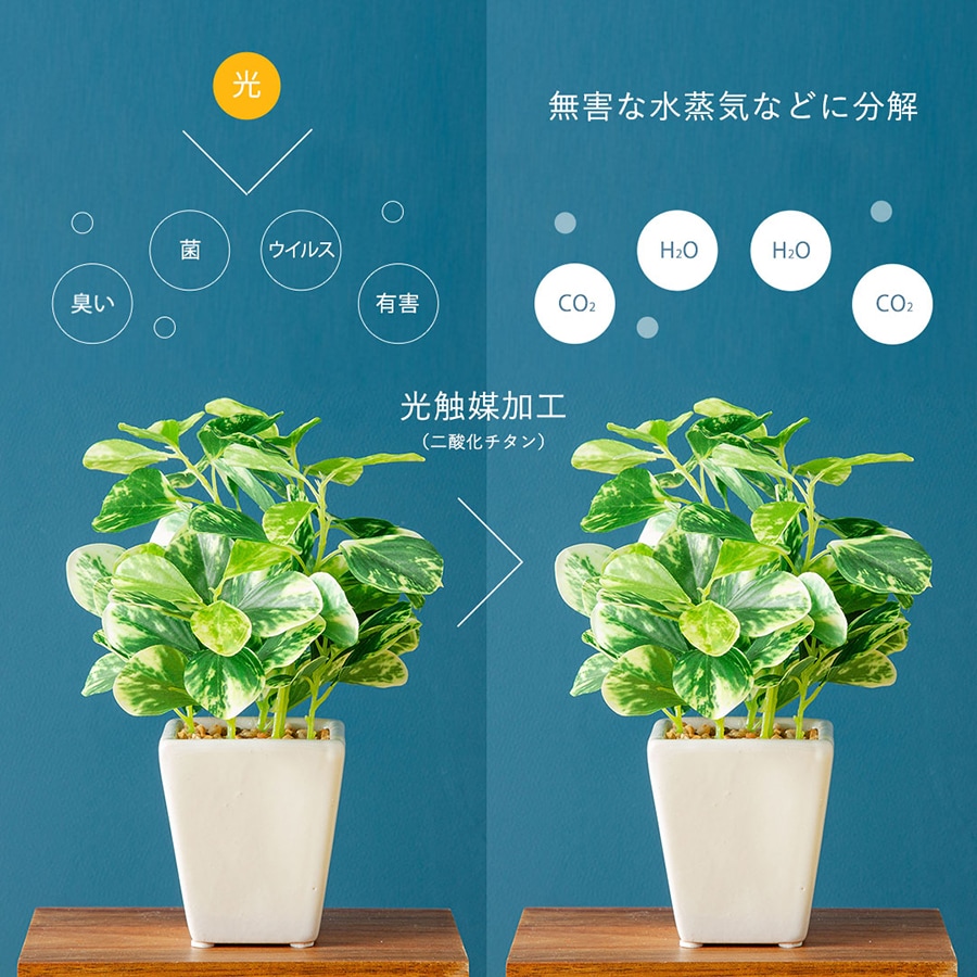 フェイク3点セット