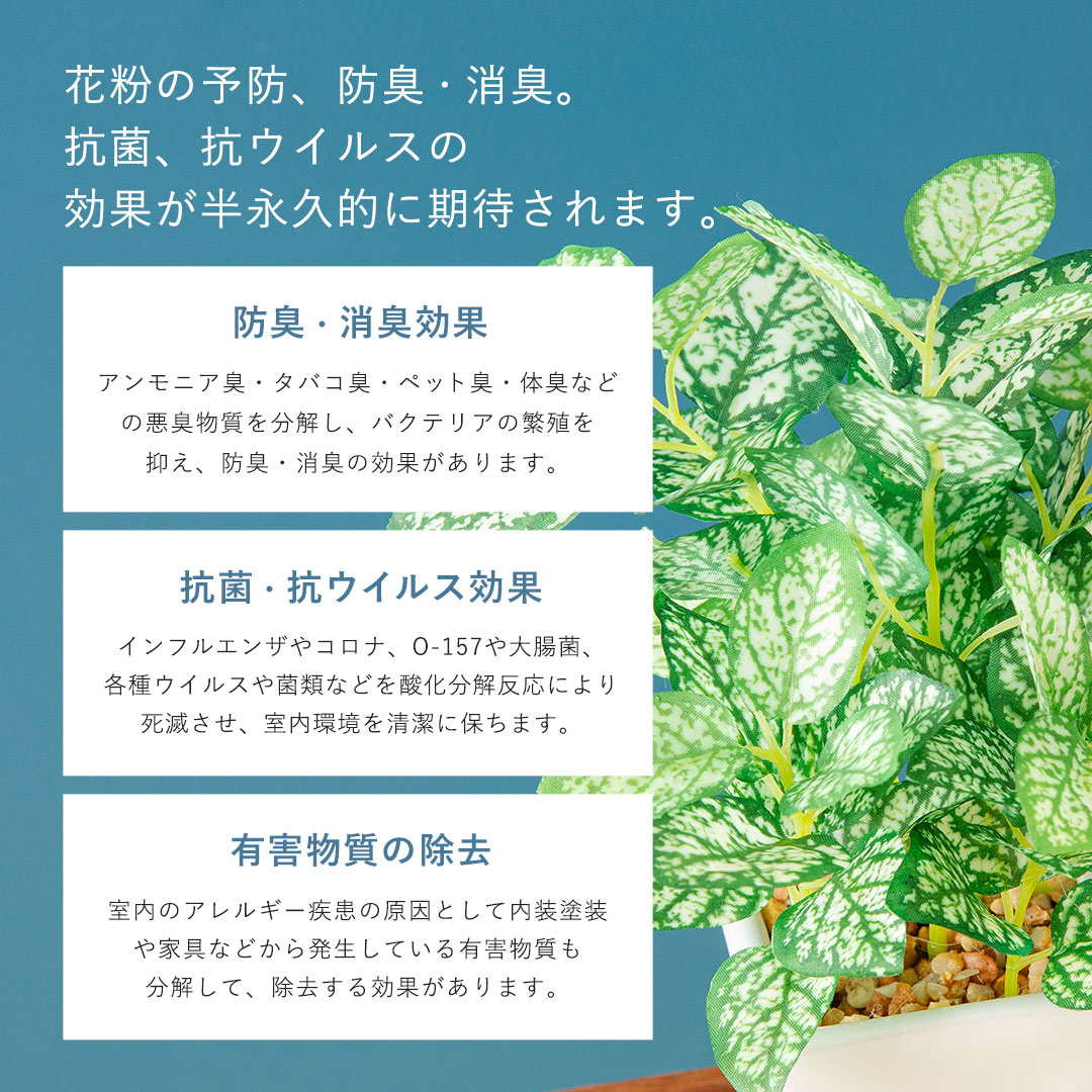 フェイク3点セット