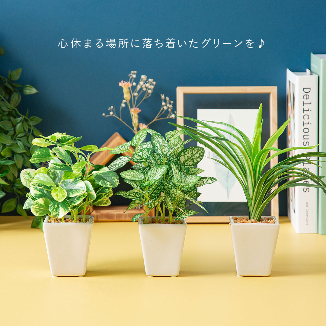 フェイク3点セット