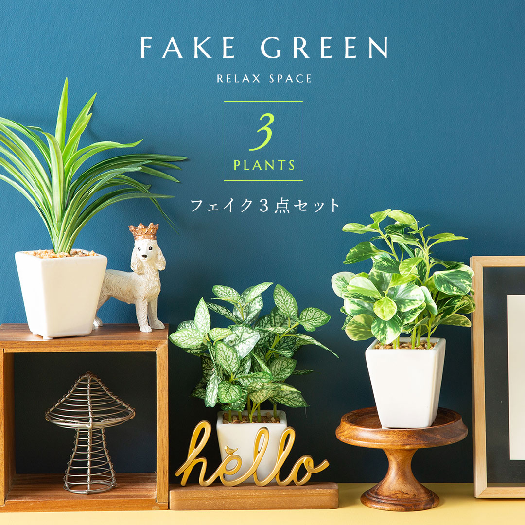 フェイク3点セット