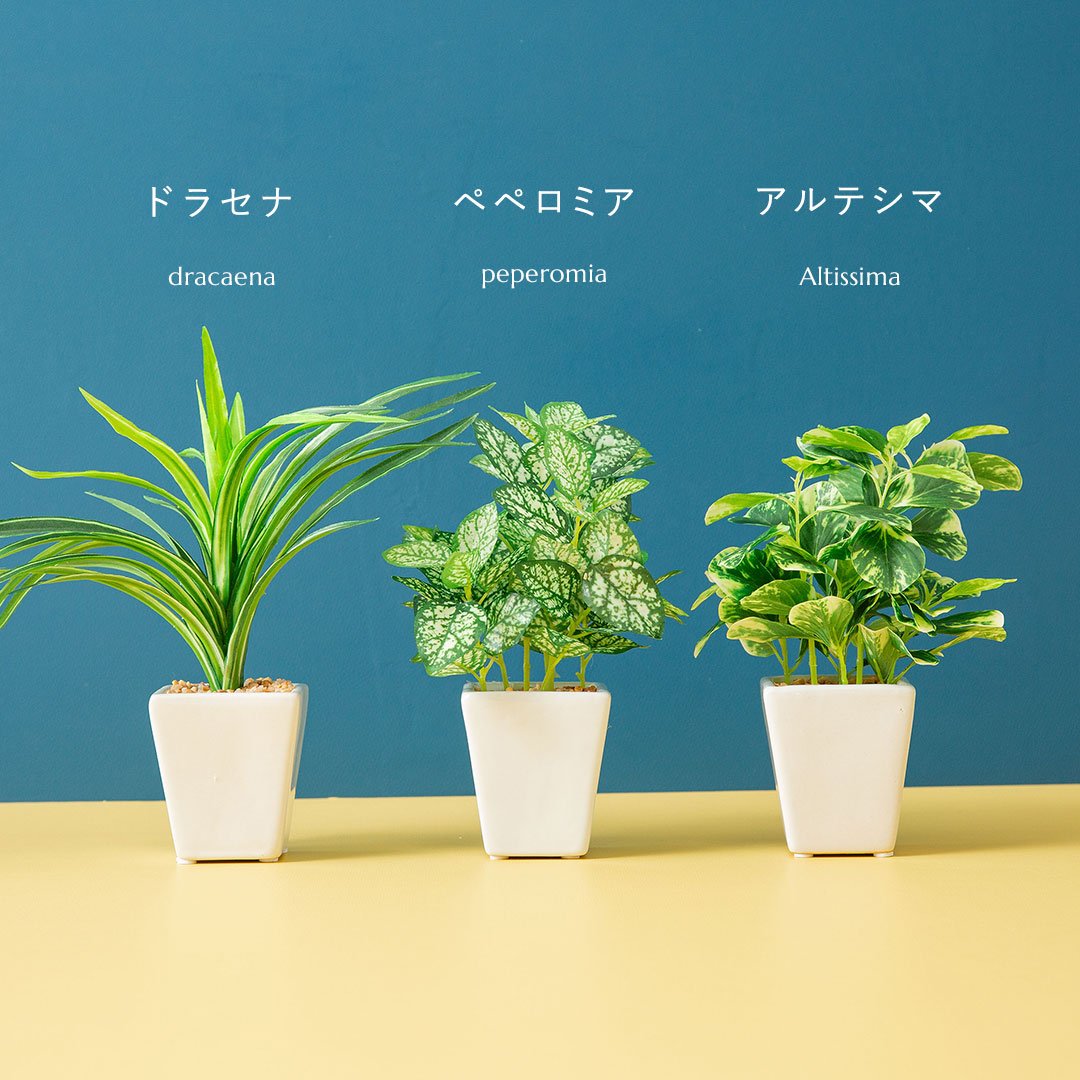 フェイク3点セット