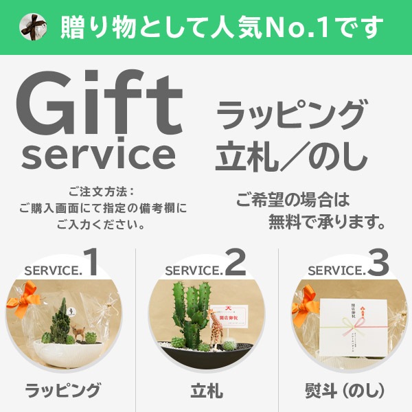 サボテンギフト 寄せ植え 2個乗せタイプ 電磁波サボテン セレウス 選べる動物フィギュア付