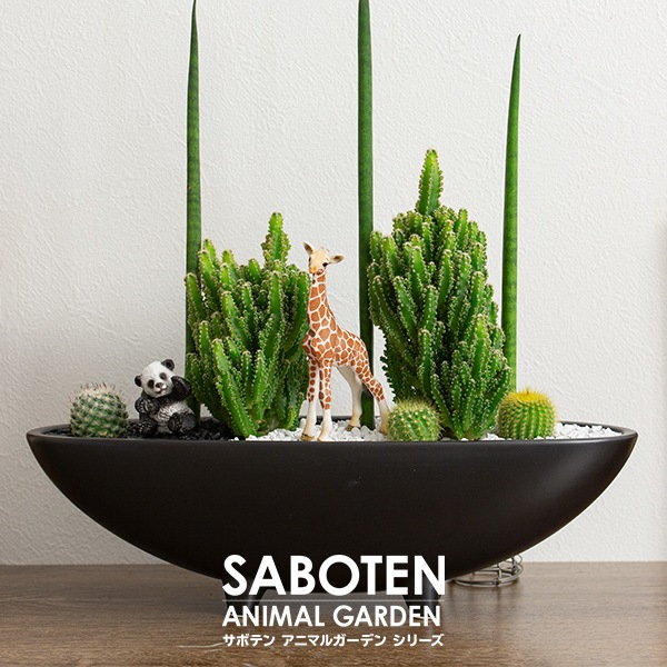 サボテンギフト 寄せ植え 2個乗せタイプ 電磁波サボテン セレウス 選べる動物フィギュア付