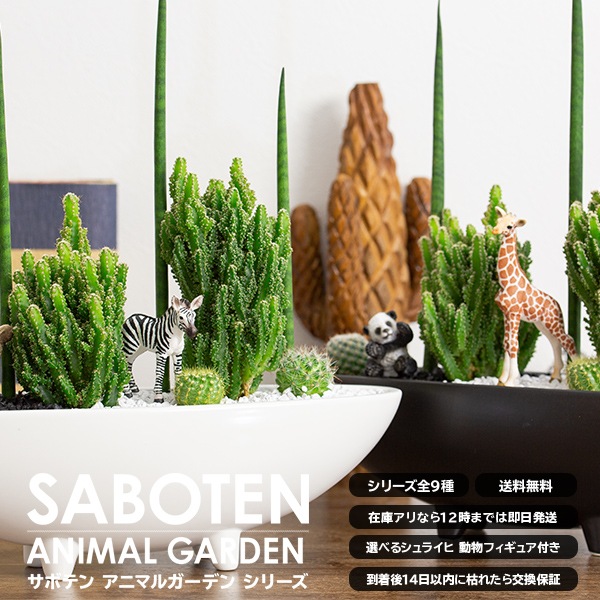 サボテンギフト 寄せ植え 2個乗せタイプ 電磁波サボテン セレウス 選べる動物フィギュア付