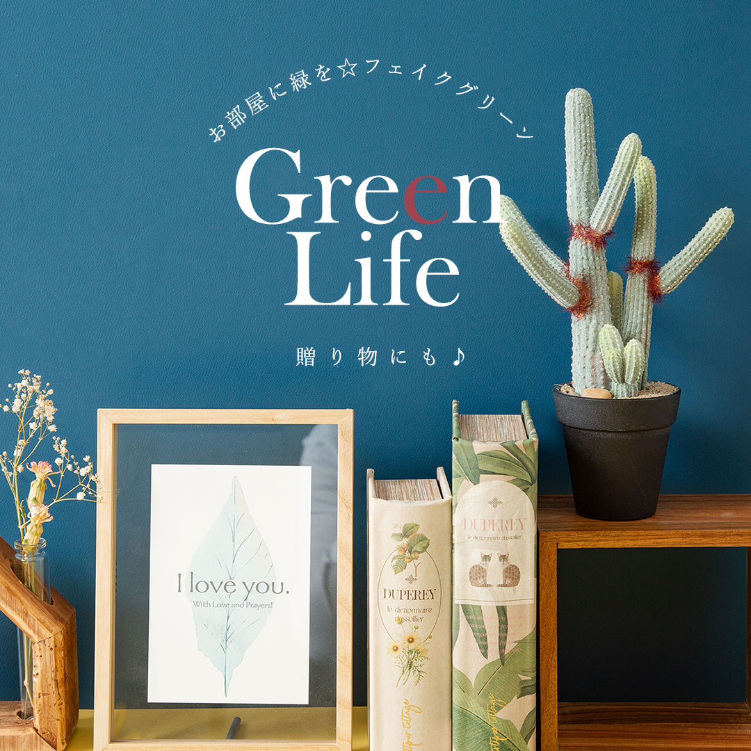 ユーフォルビア ポット