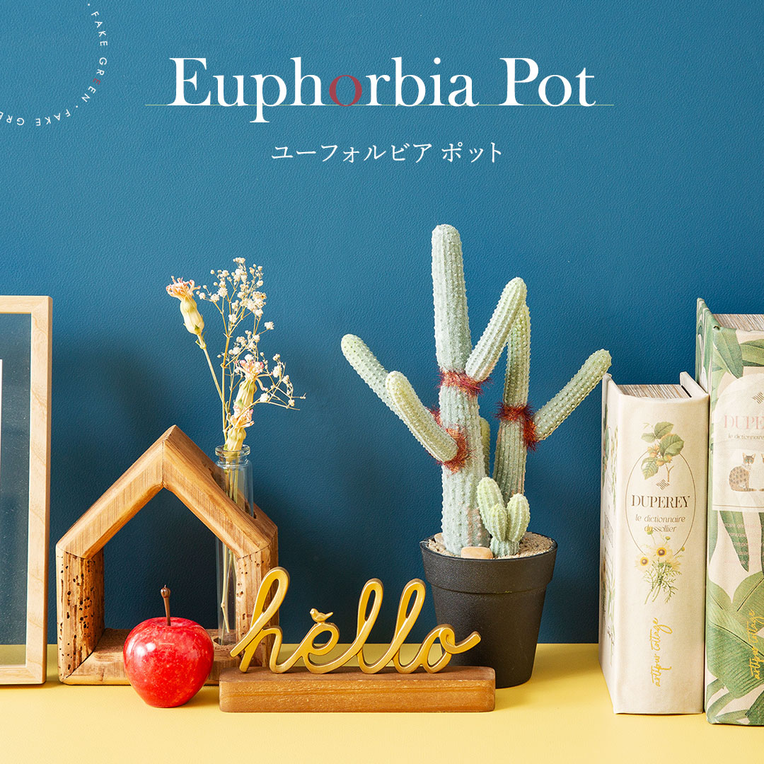 ユーフォルビア ポット