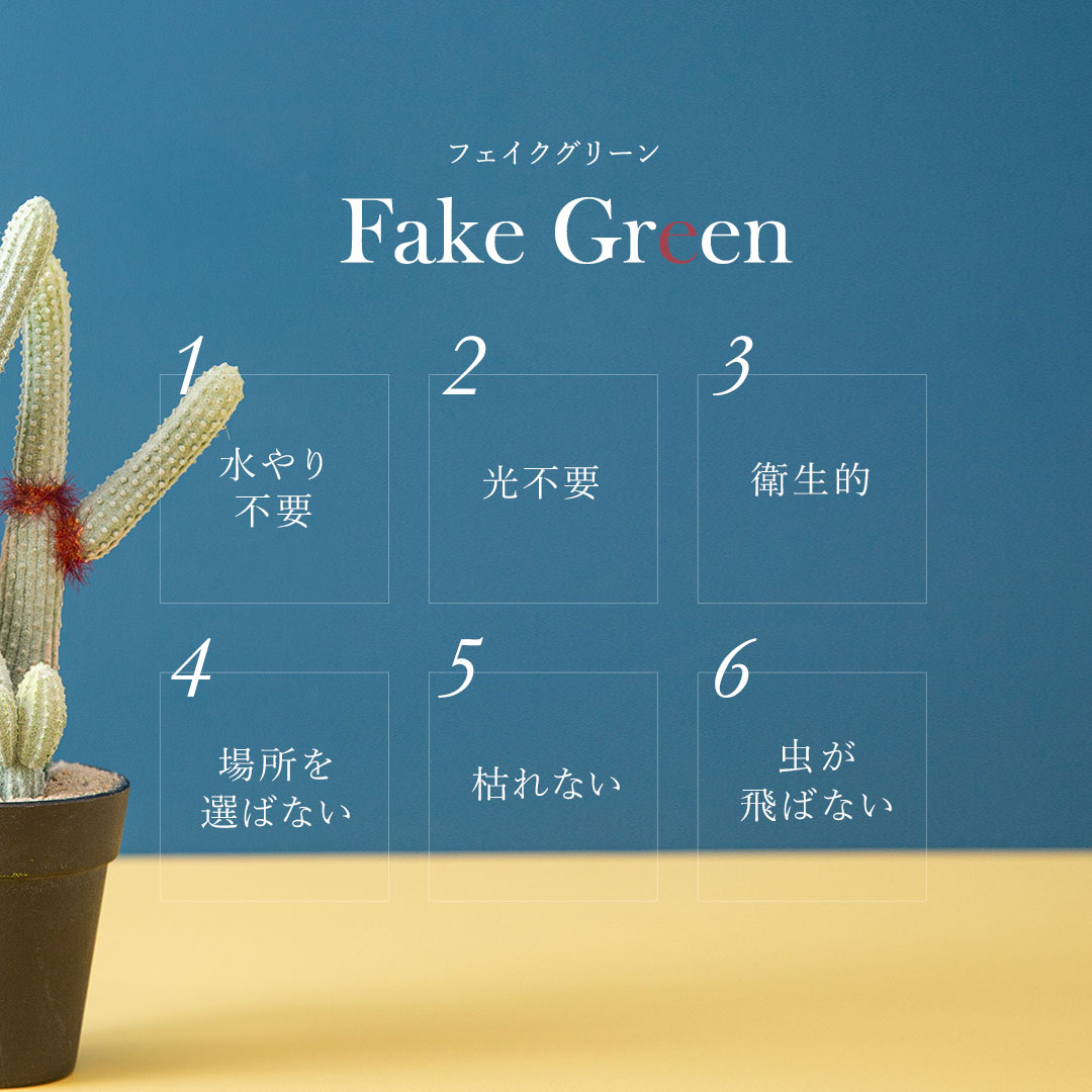 ユーフォルビア ポット