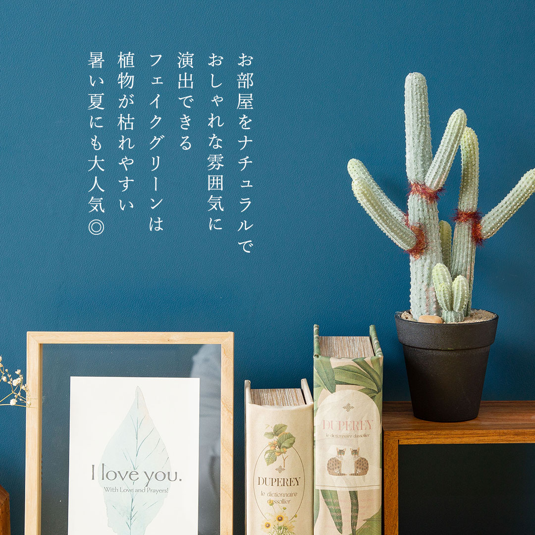 ユーフォルビア ポット