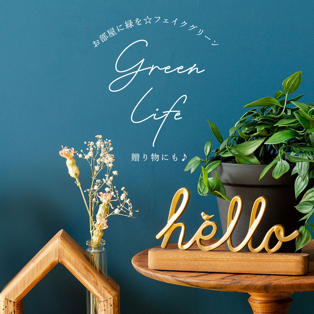 フィカス シャングリラ ポット