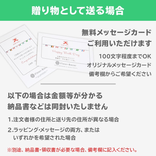 サボテンギフト 寄せ植え 舟形タイプ 大雲角 選べる動物フィギュア付
