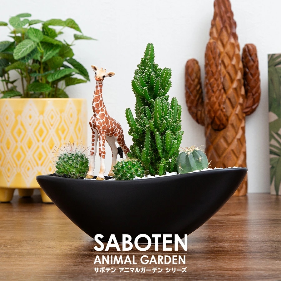 サボテンギフト 寄せ植え 舟形タイプ カクタス セレウス アニマルサボテン 選べる動物フィギュア付