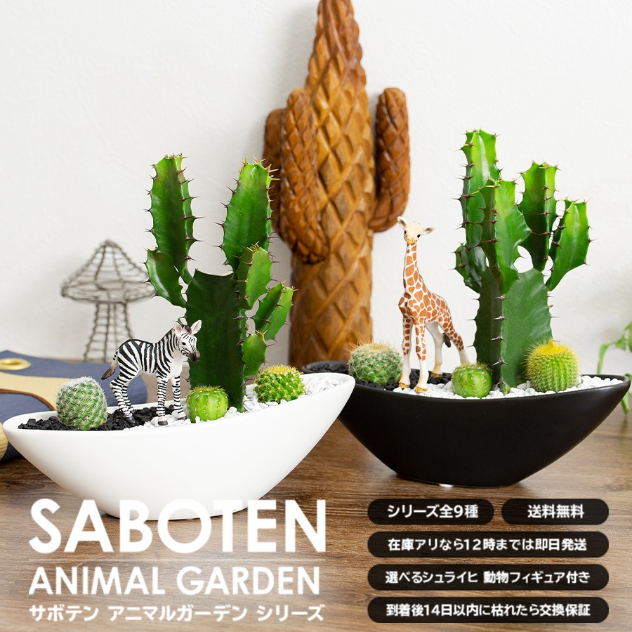 サボテンギフト 寄せ植え 舟形タイプ カクタス 大雲閣 アニマルサボテン 選べる動物フィギュア付