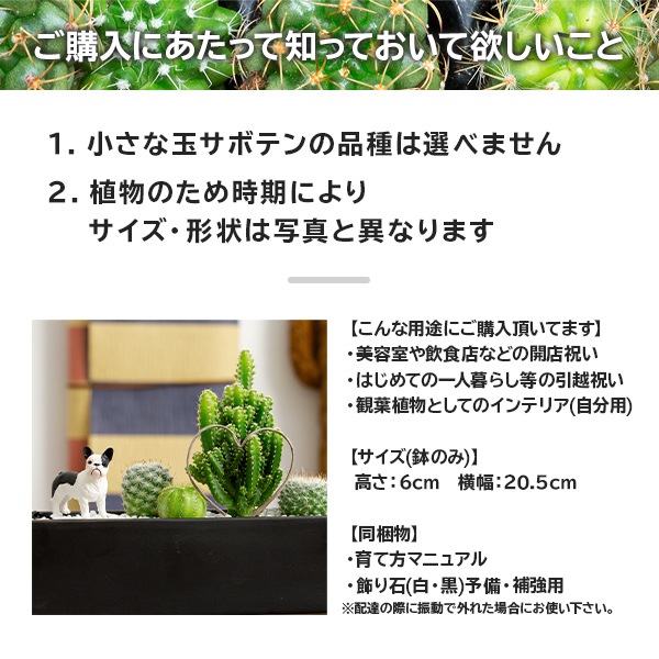 サボテンギフト 寄せ植え ハートタイプ 電磁波サボテン セレウス 選べる動物フィギュア付