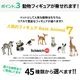 サボテンギフト 寄せ植え 舟形･大タイプ 電磁波サボテン セレウス 選べる動物フィギュア付