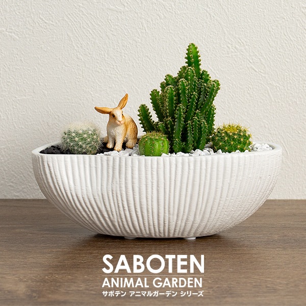 サボテンギフト 寄せ植え 波形タイプ 電磁波サボテン セレウス 選べる動物フィギュア付